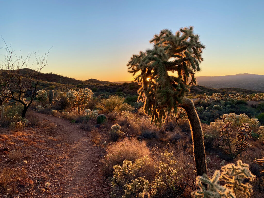 Arizona Trail
