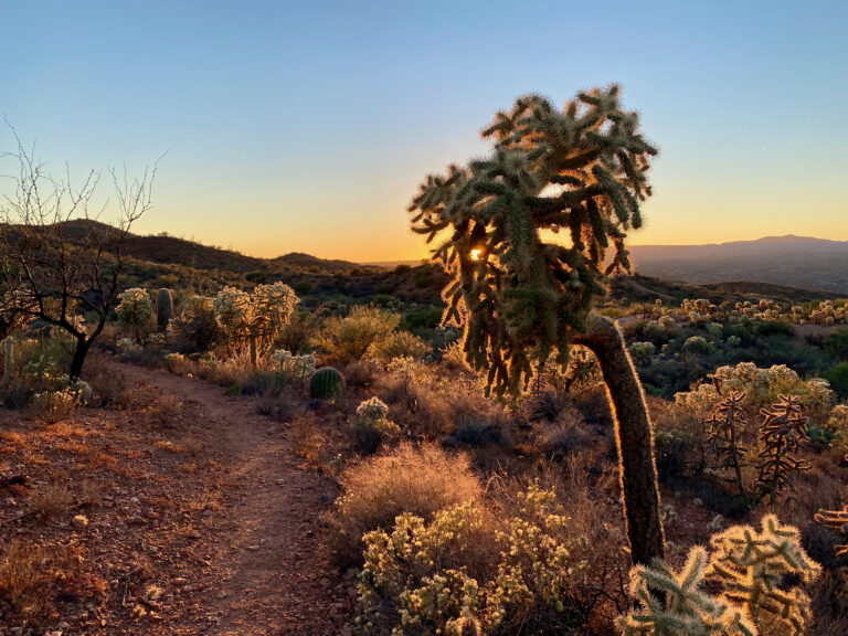 Arizona Trail