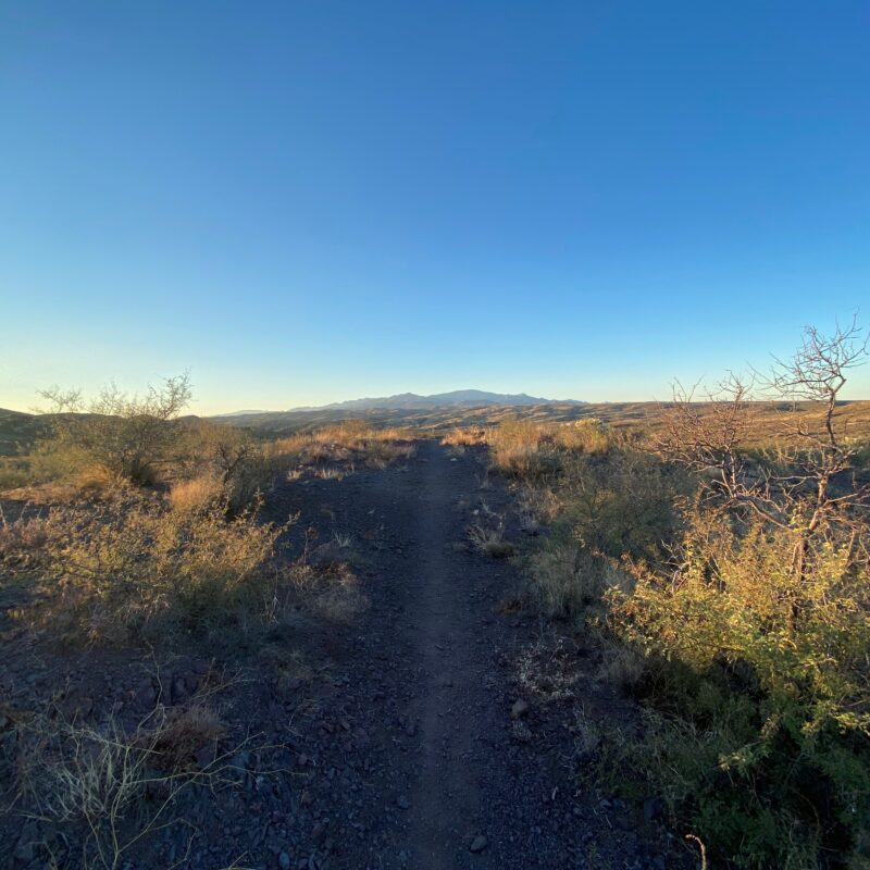 Walking the Desert