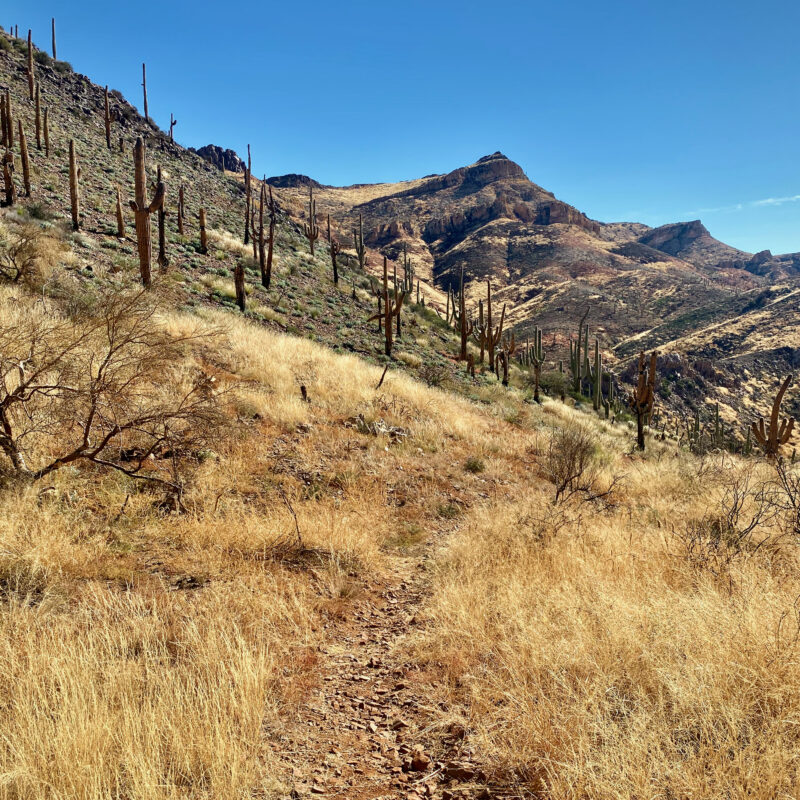 More of Telegraph Canyon Fire