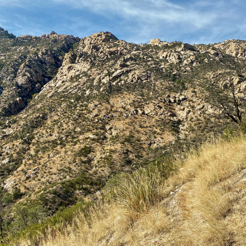 Sabino Canyon Cliffs