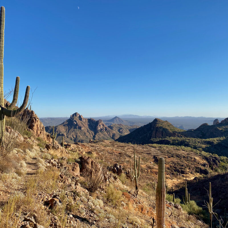 Alamo Canyon III