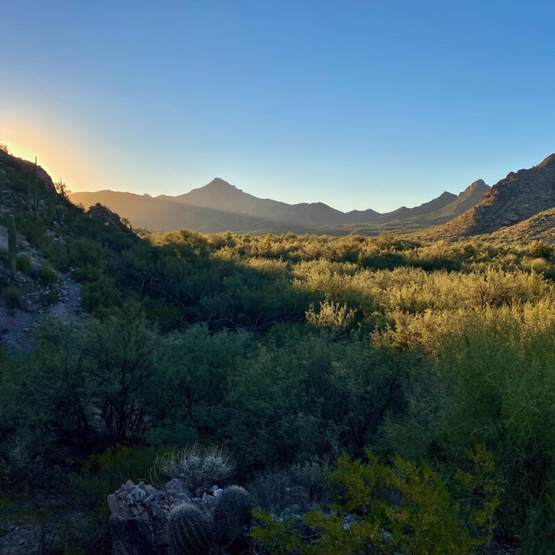 Gila River Dawn