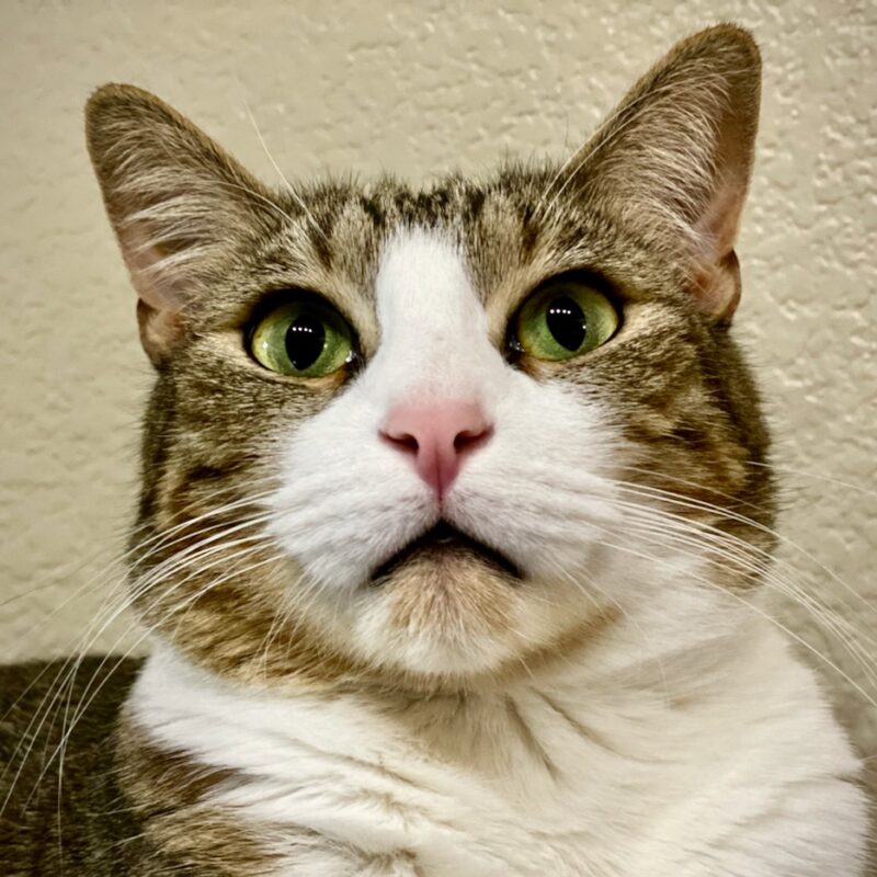 Ted, in Profile