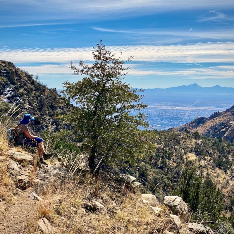 Ventana Canyon Lookout