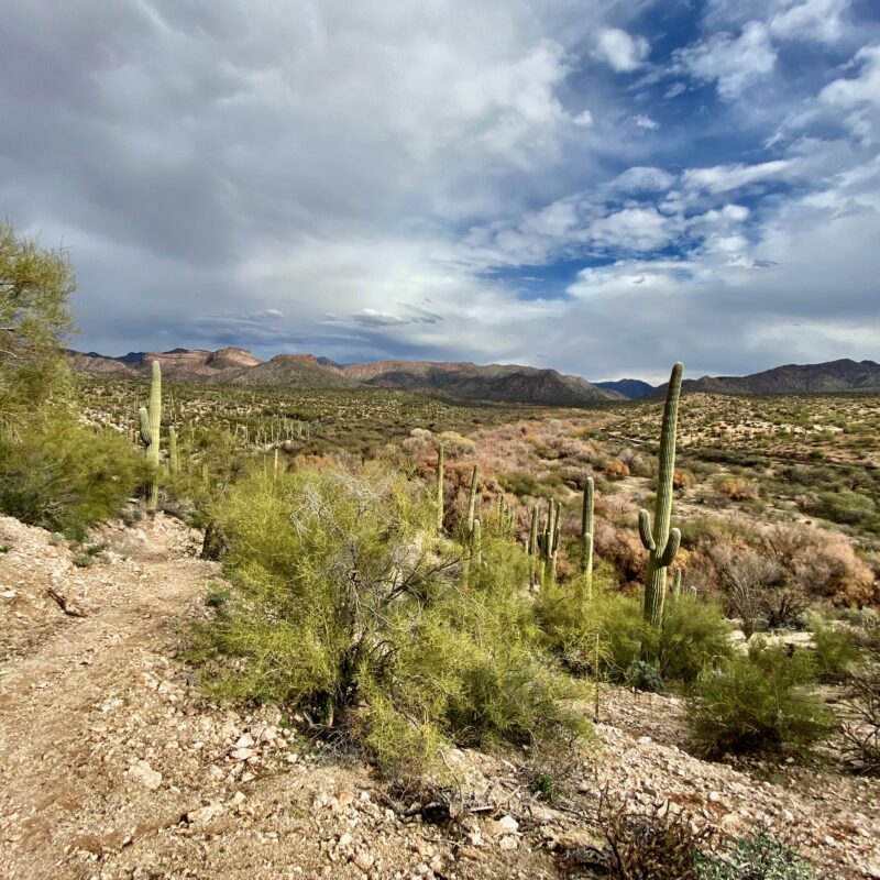 Desert Ridgeline Above the Gila