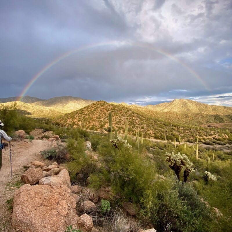 Rainbow Walking