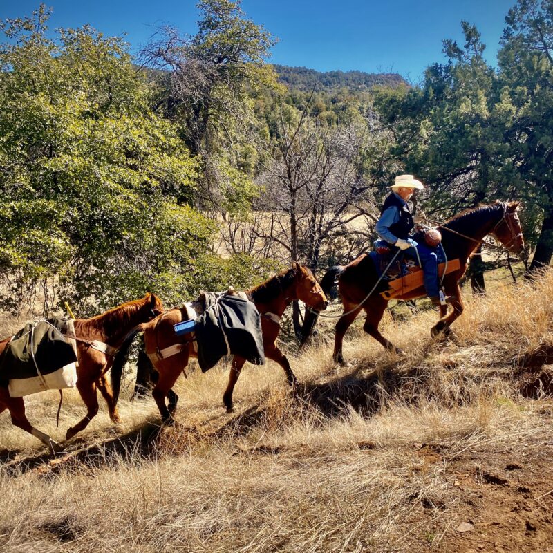 The Packtrain