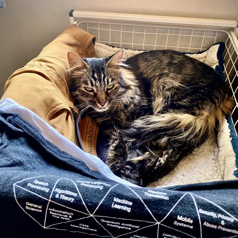 Tuna the AI Kitty