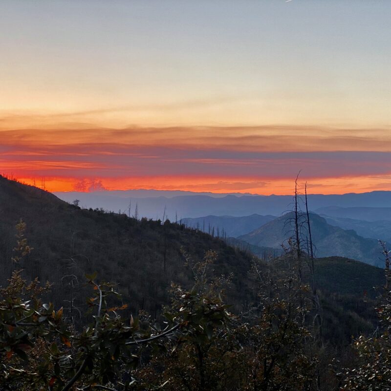 Fires on the Horizon