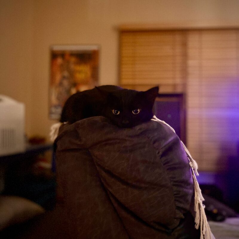 Kiki Blob