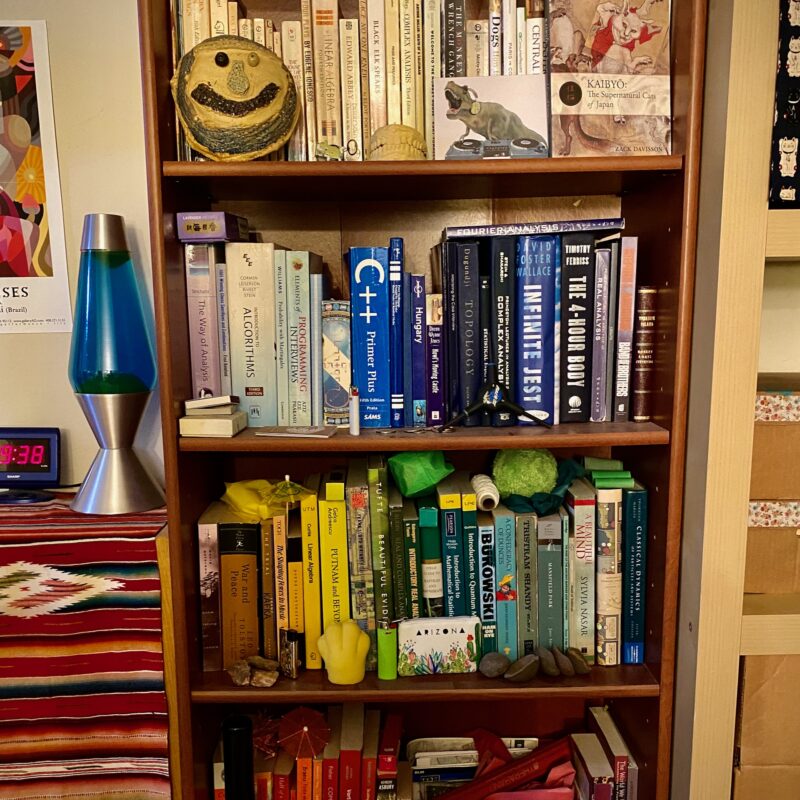 A Color Sorted Bookshelf