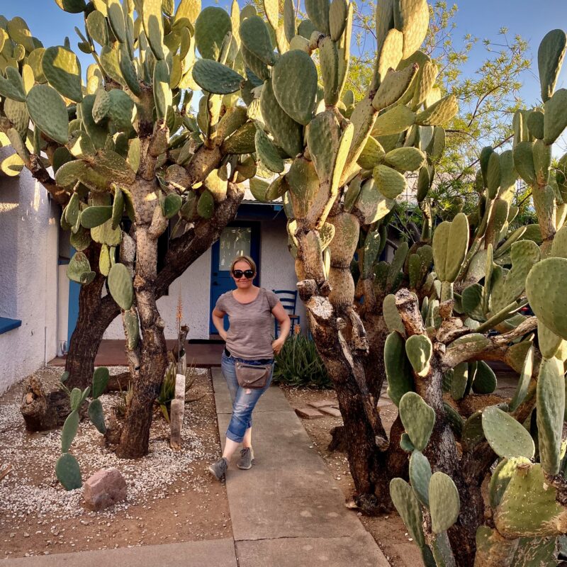 Prickly Pathway
