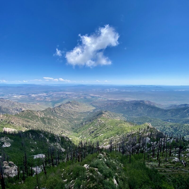View Atop Mount Graham