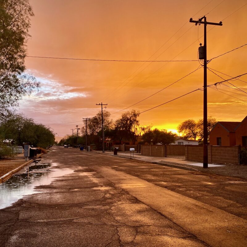 Monsoon Vibes