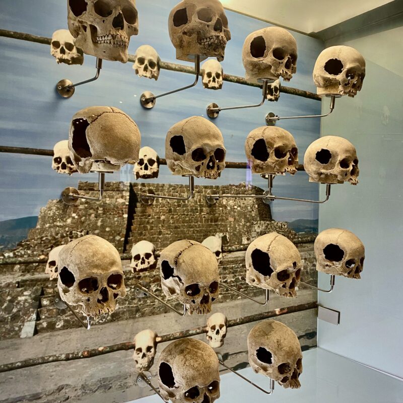 Skulls of Their Enemies
