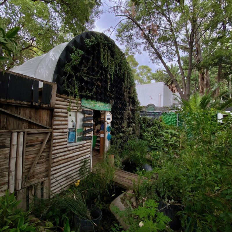 Overgrown Store