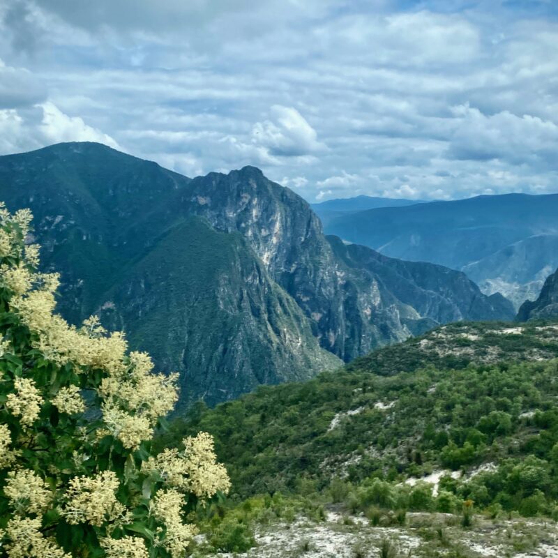 Mountains of Hidalgo