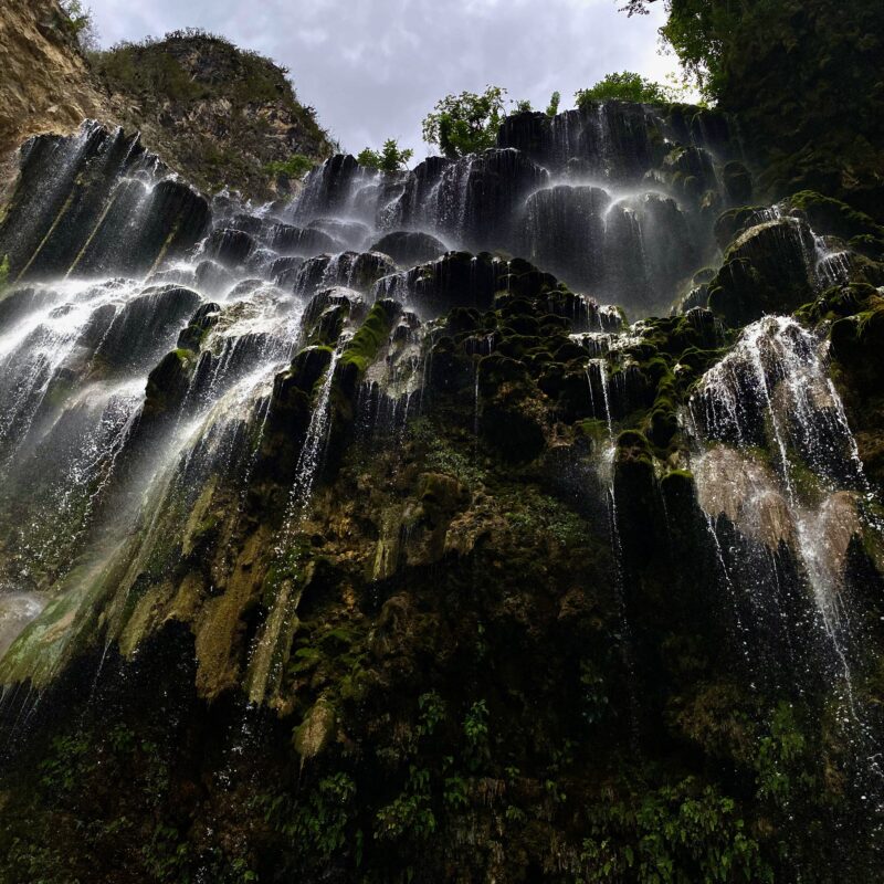 Drizzles Above
