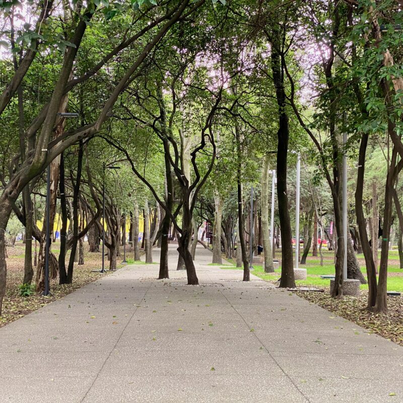 Walkways of Bosque Chapultepec