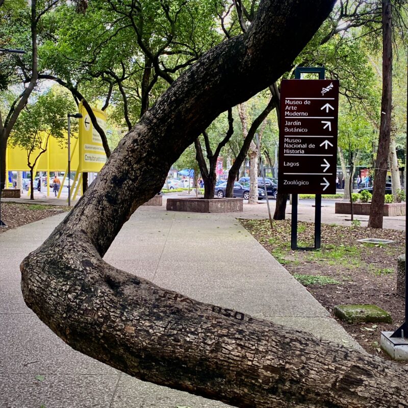 Walkways of Bosque Chapultepec