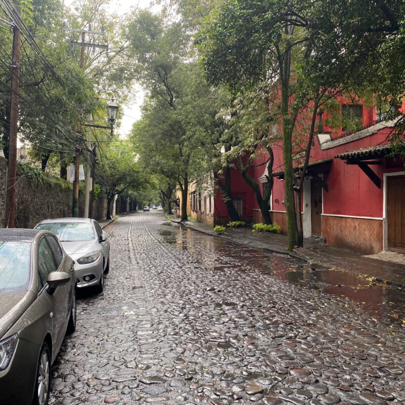 Streets of Cayoacán