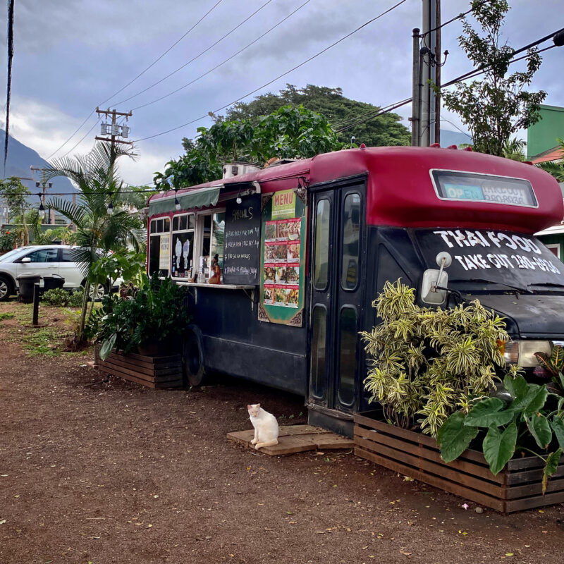 Hi Thai Food Truck and Misc. Cat