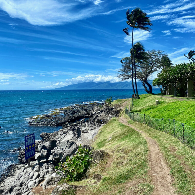 Walking the Western Shoreline