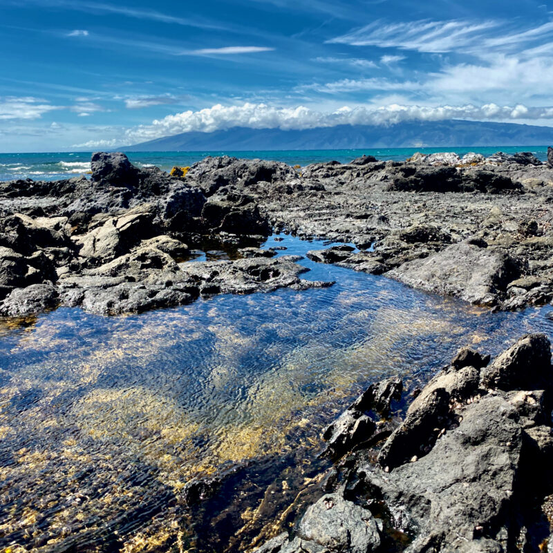 Tidepools