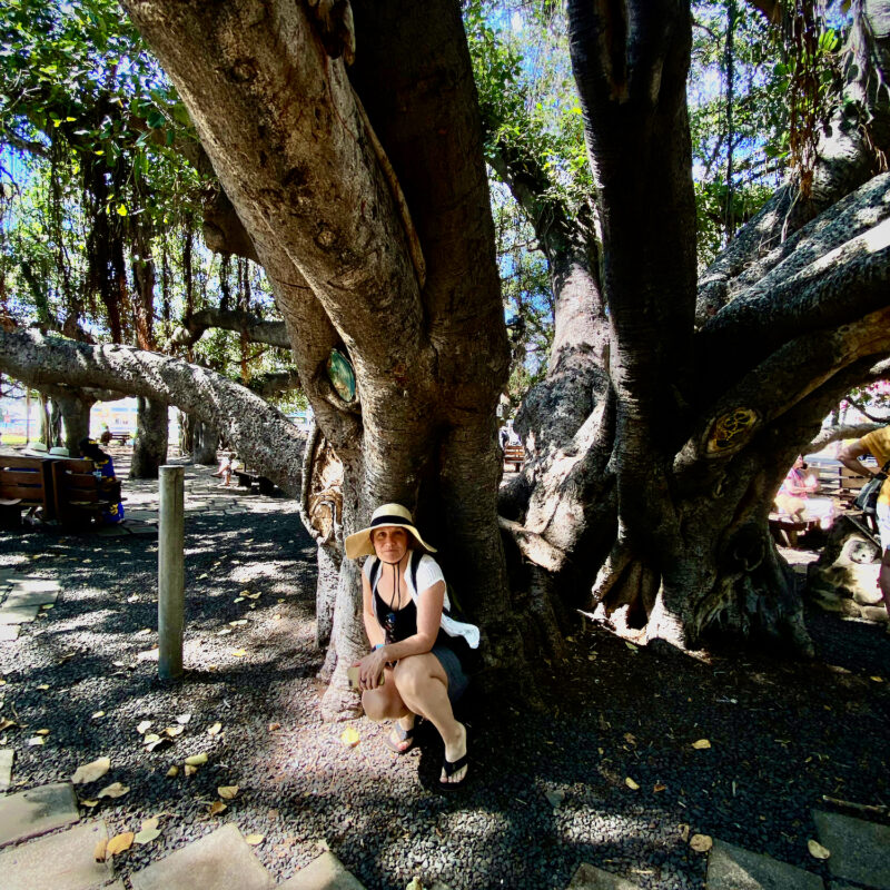 Lainy at the Lahaina Banyan Tree