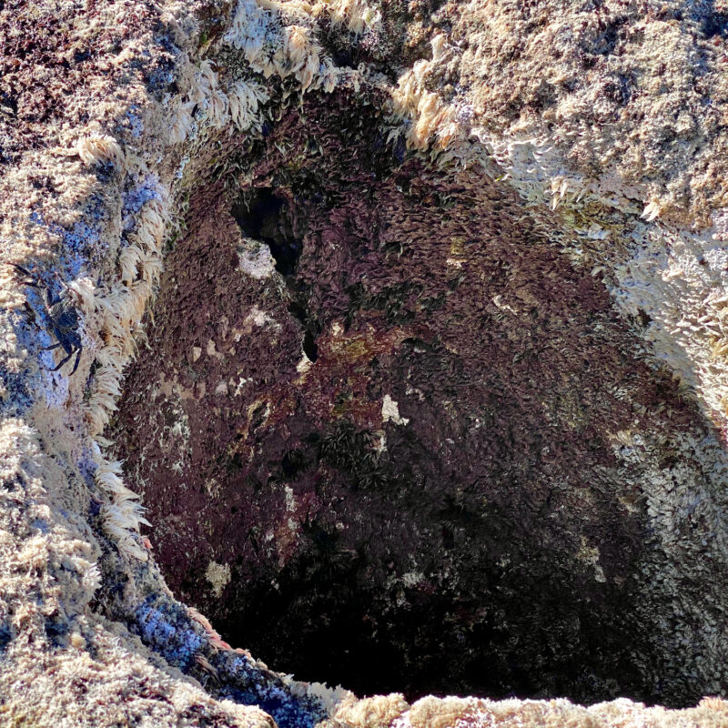 Peering into the Nakalele Blowhole