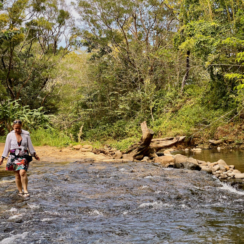 Walking the Flows