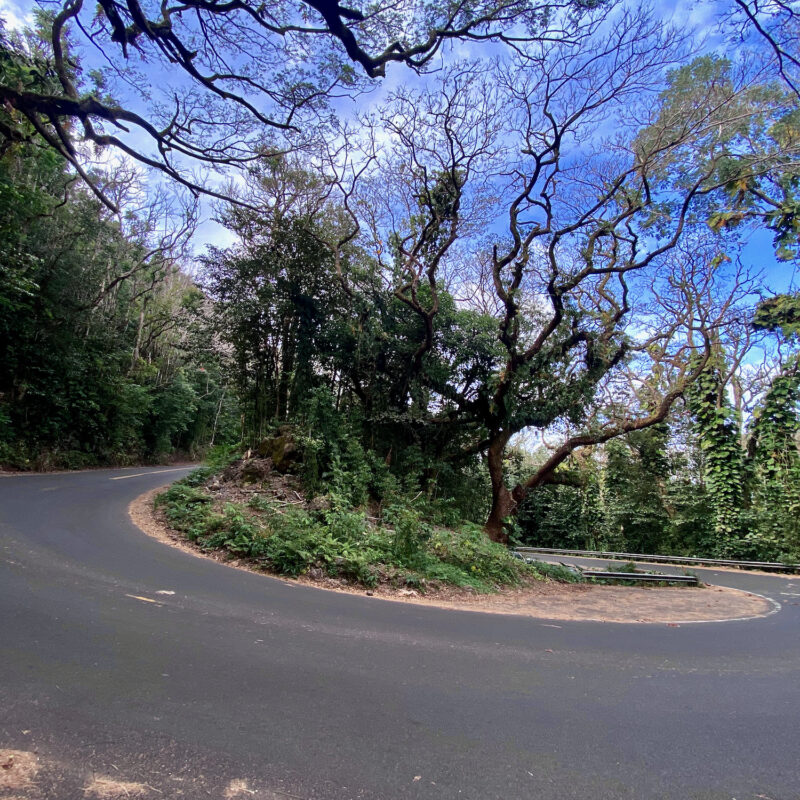 Wind in the Road