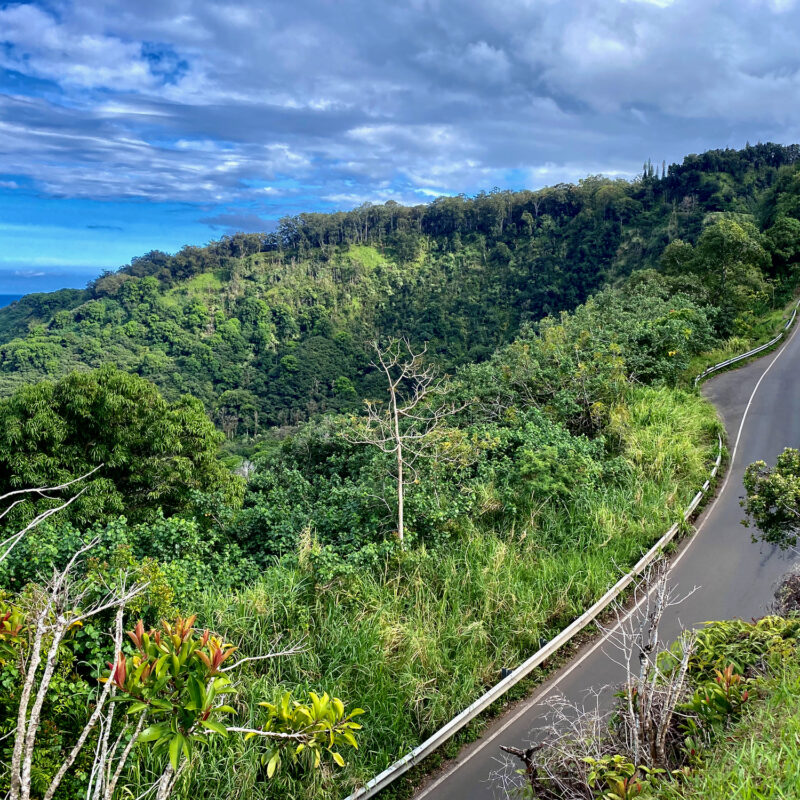 What a Drive