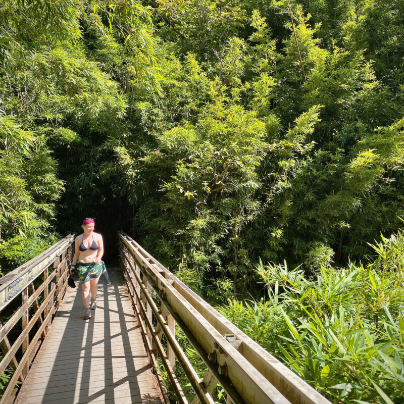 Bamboo Forest Hiking