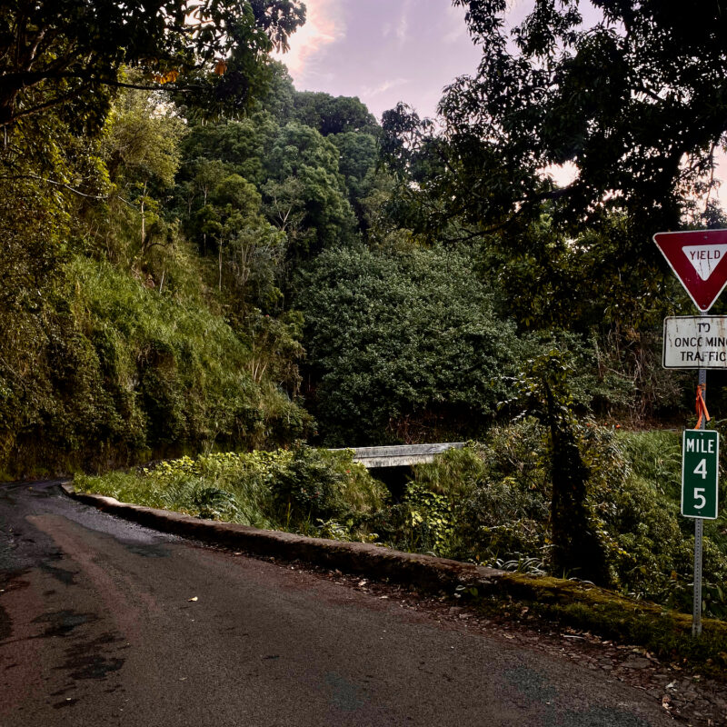 Further Winding Roads