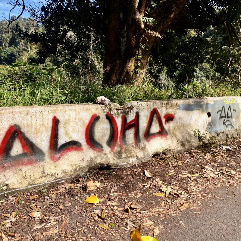 Aloha, Out There