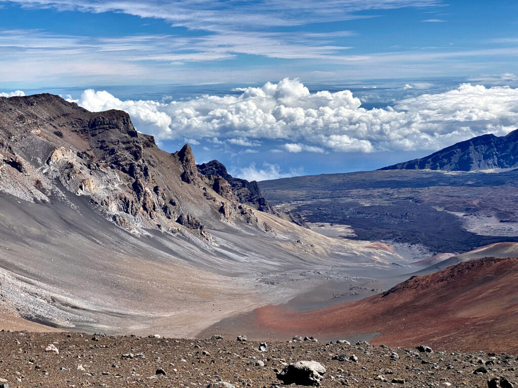 HFM Goes Global