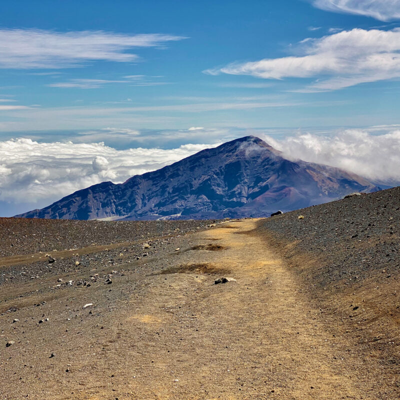 Pathway through Contrasting Soils