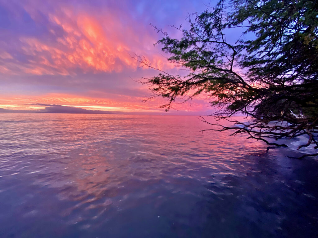 Hawaiian Prologues