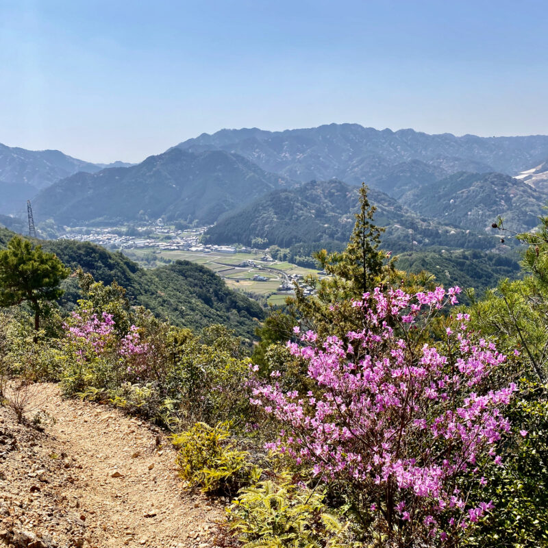 Hiking Above Wakayama