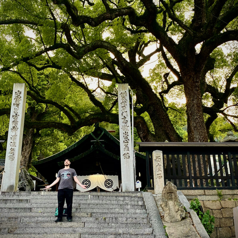 The Powerful Tree of Ushitora Shrine
