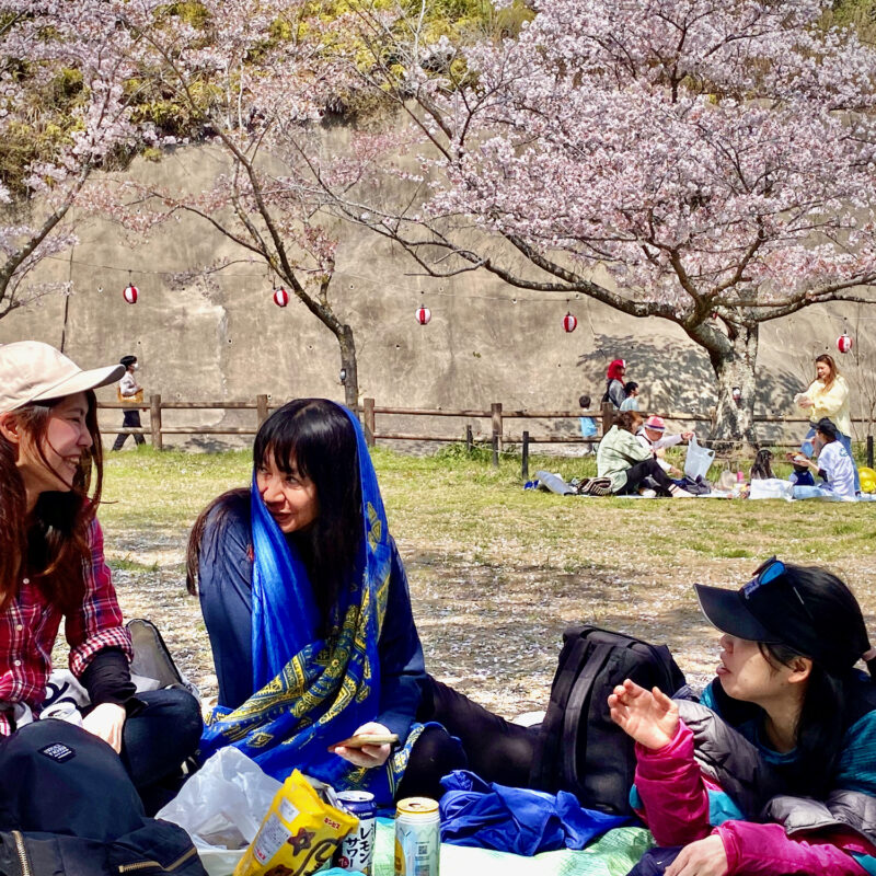 Hanami In Style