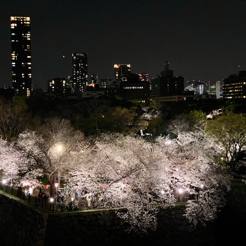 View from Osaka Castle