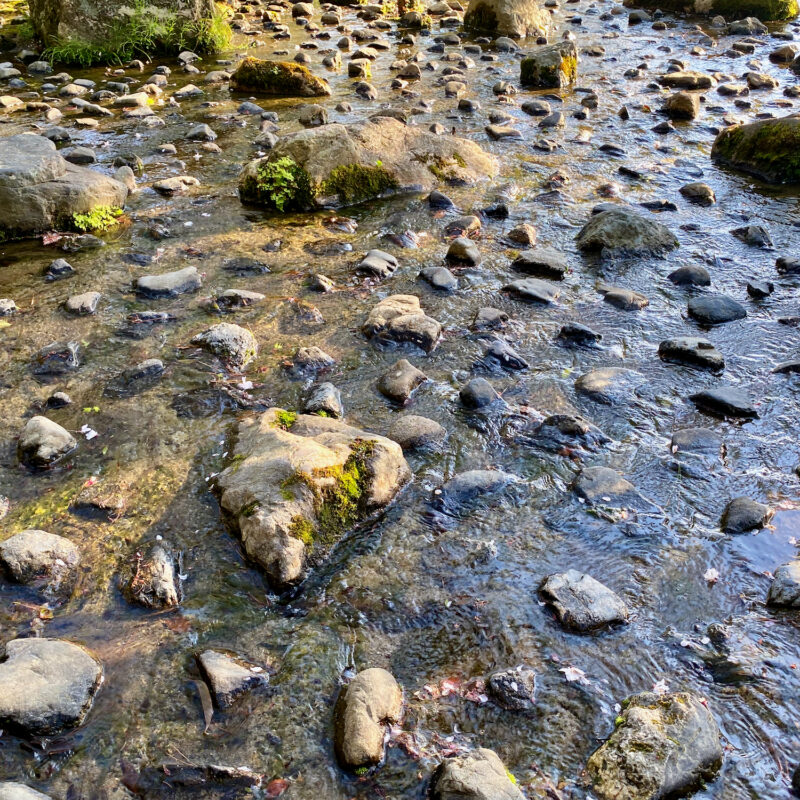 Organized Flow