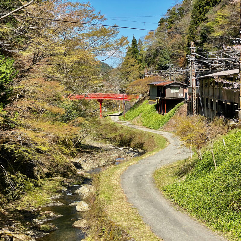 Winding Wakayama Paths