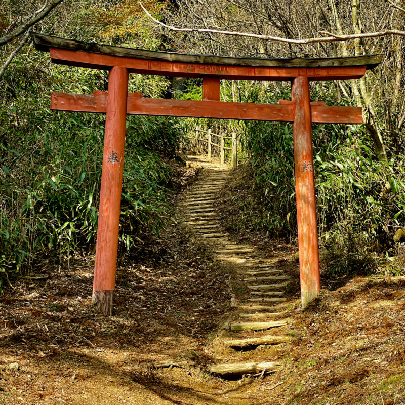 The Way Up Koya San