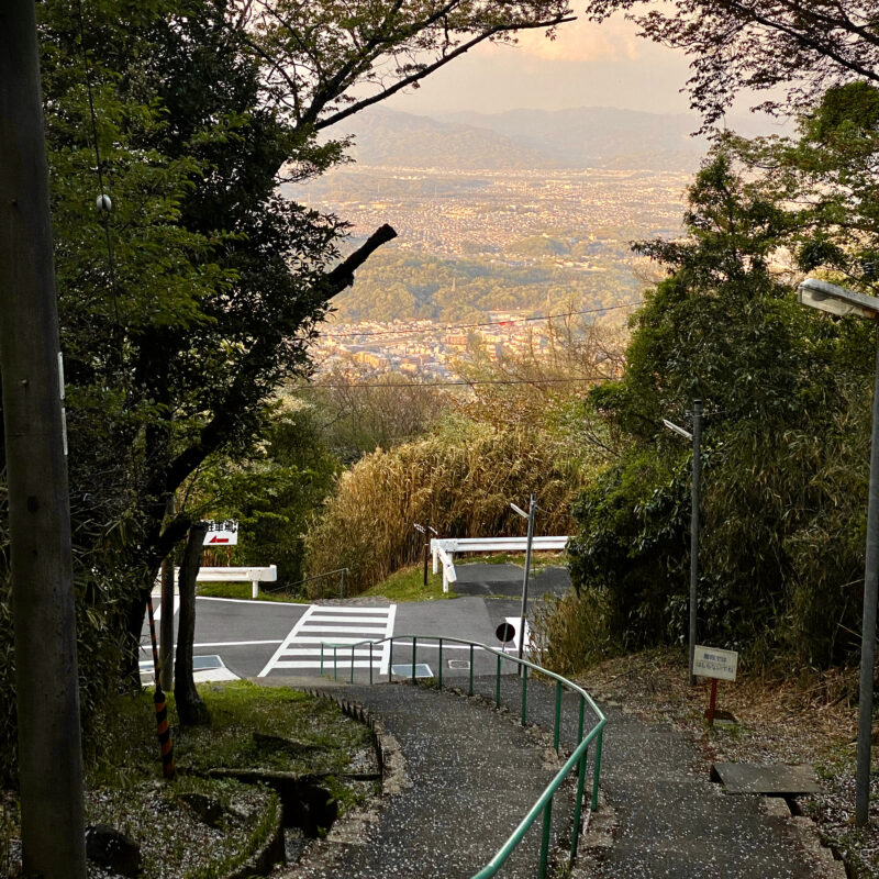Nara from Above