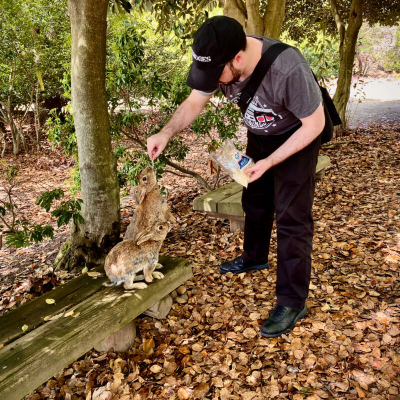 Rabbit Island