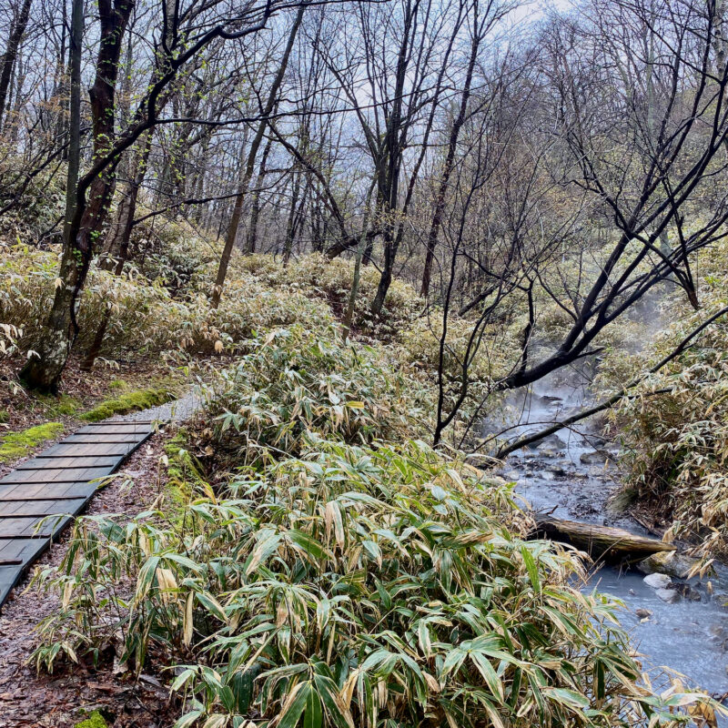 Hot Springs River and Path
